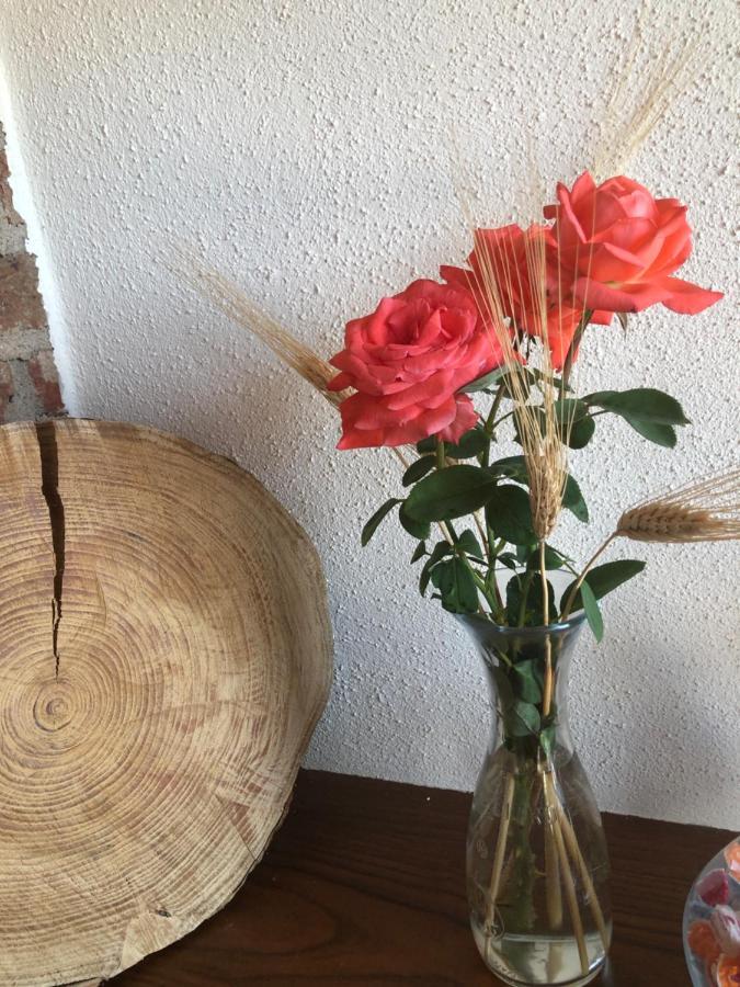הוילה Roppolo Cascina Coste מראה חיצוני תמונה